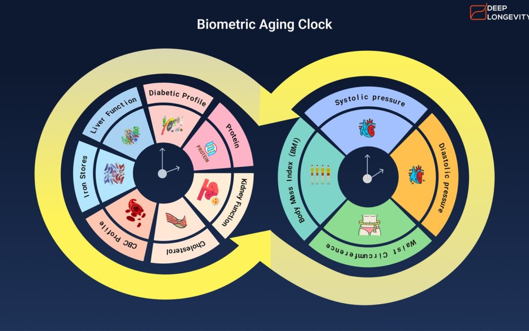 Unlocking the secrets of Personalized Health using Biometric Aging Clock